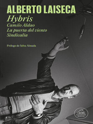 cover image of Hybris (Camilo Aldao, La puerta del viento, Sindicalia)